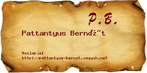 Pattantyus Bernát névjegykártya